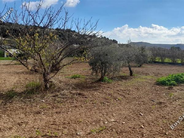 land for sale choirokoitia larnaca 1060627 image 16188031