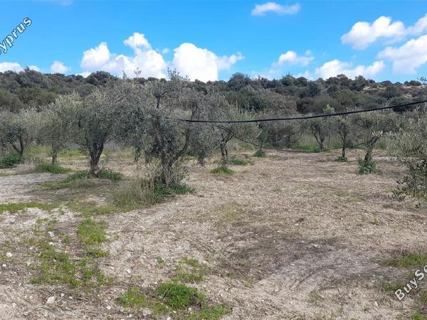 land for sale choirokoitia larnaca 1060627 image 16188032