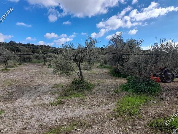 land for sale choirokoitia larnaca 1060627 image 16188034