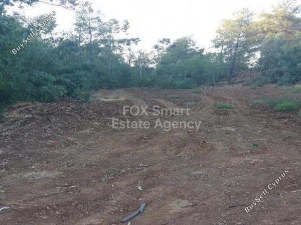 land for sale klirou nicosia 1152627 image 5159232