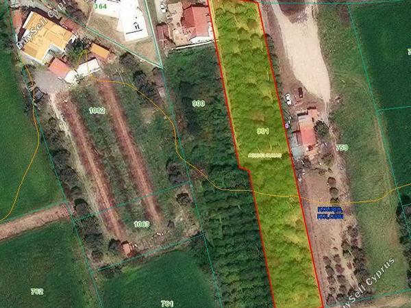 land for sale kolossi limassol 7966627 image 12216207