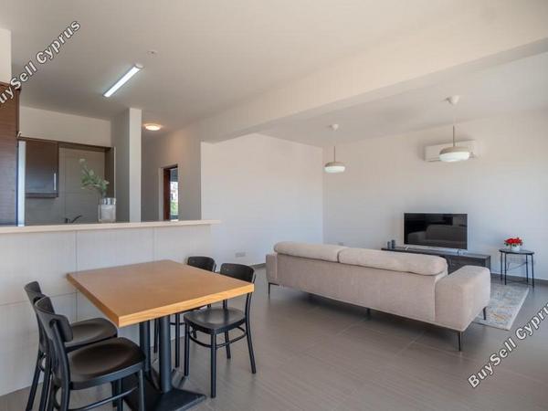 1 bedroom apartment for rent kissonerga paphos 8639727 image 16408833