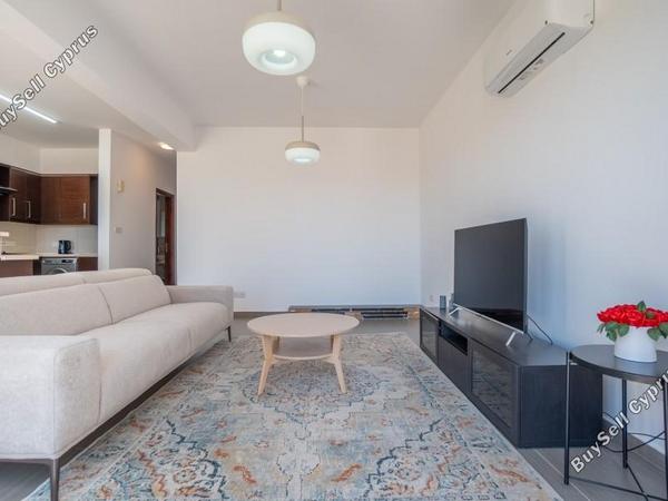 1 bedroom apartment for rent kissonerga paphos 8639727 image 16408843