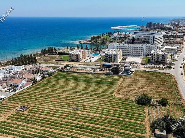 3 bedroom detached house for sale agia triada famagusta 8565727 image 15643442