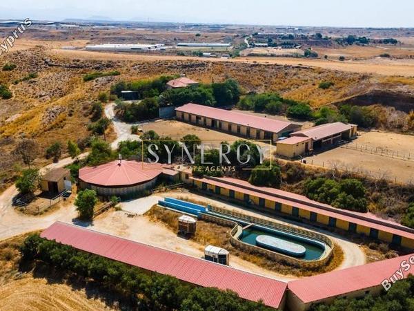 land for sale deftera nicosia 1011727 image 16724072