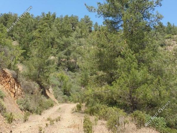 land for sale palaichori morfou nicosia 954727 image 15602337