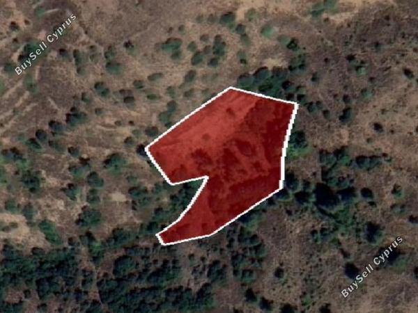 land for sale pedoulas nicosia 945727 image 15603320