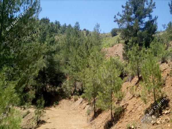 land for sale pedoulas nicosia 945727 image 15603321