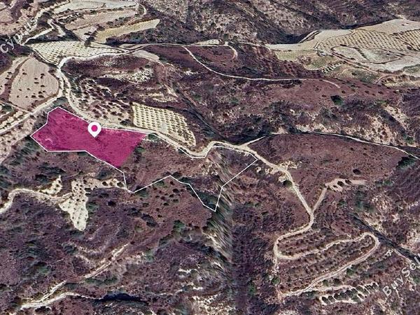 land for sale theletra paphos 1897727 image 14207826