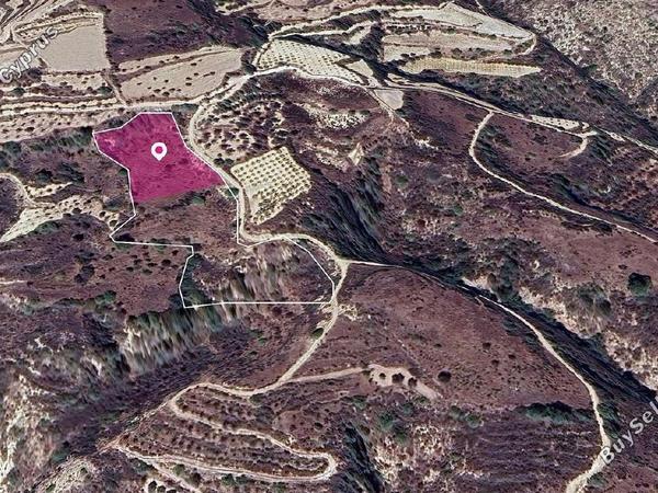 land for sale theletra paphos 1897727 image 14207830