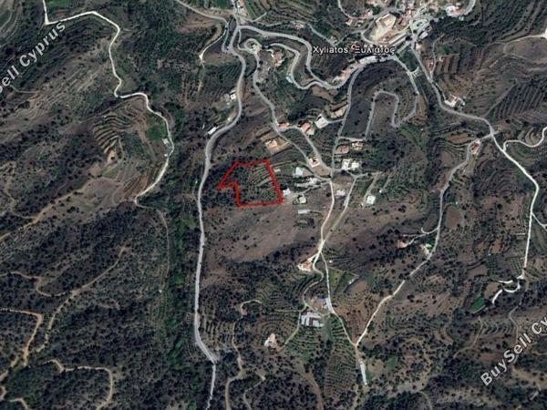 land for sale xyliatos nicosia 829727 image 15664043