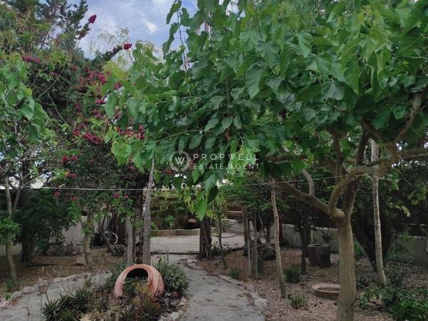 3 bedroom detached house for sale pervolia larnaca 8367827 image 14579463