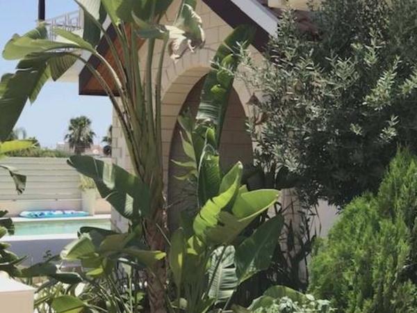 4 bedroom detached house for sale ekali limassol 8106827 image 15524211