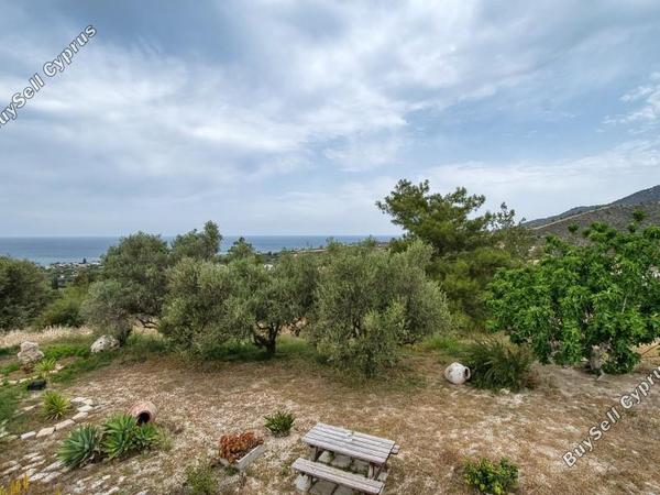 4 bedroom detached house for sale poli chrysochous paphos 7739827 image 12578820