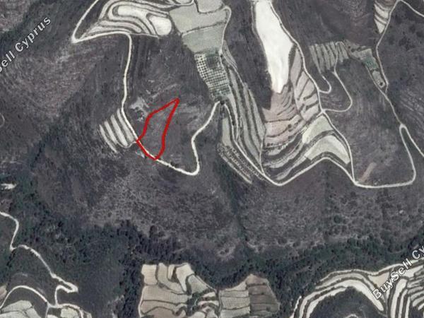 land for sale koili paphos 855827 image 2809267