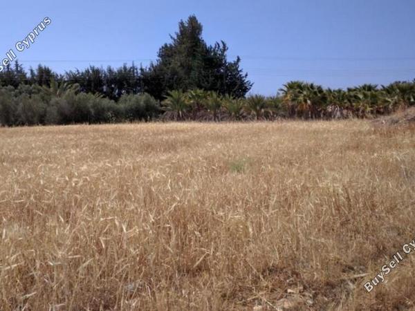 land for sale kouklia pafou paphos 1355827 image 17114340