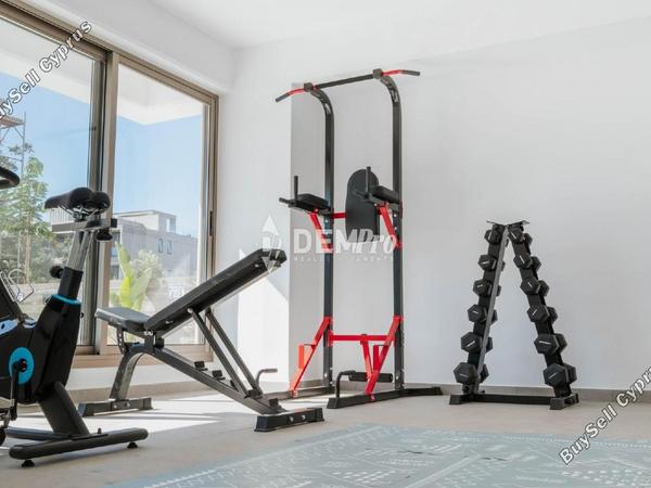 2 bedroom apartment for sale kato paphos paphos 8085927 image 13118025