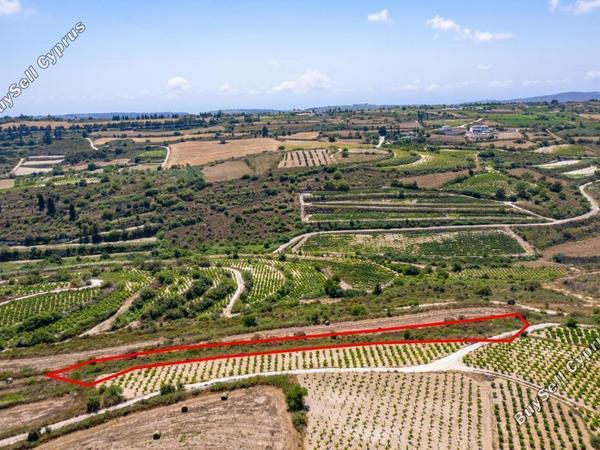 land for sale kathikas paphos 8993927 image 18136166