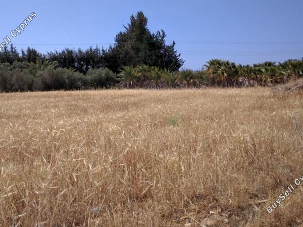 land for sale kouklia pafou paphos 827927 image 15177939