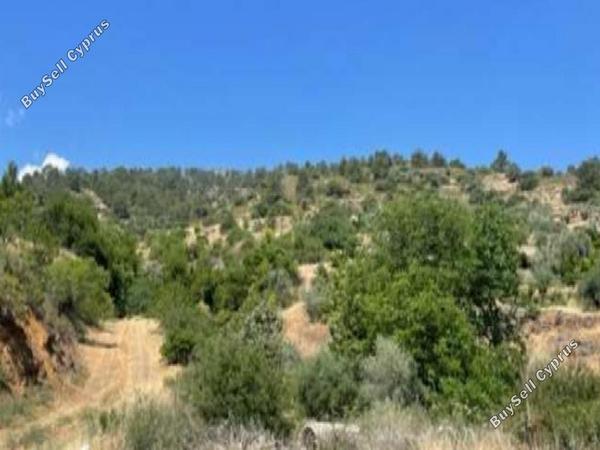 land for sale palaichori morfou nicosia 1256927 image 9337463