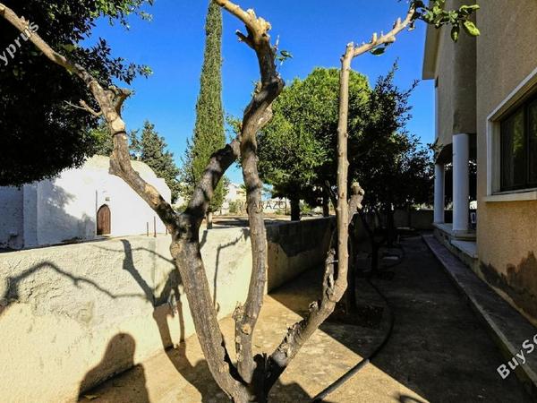 3 bedroom detached house for sale deryneia famagusta 1574037 image 5629264