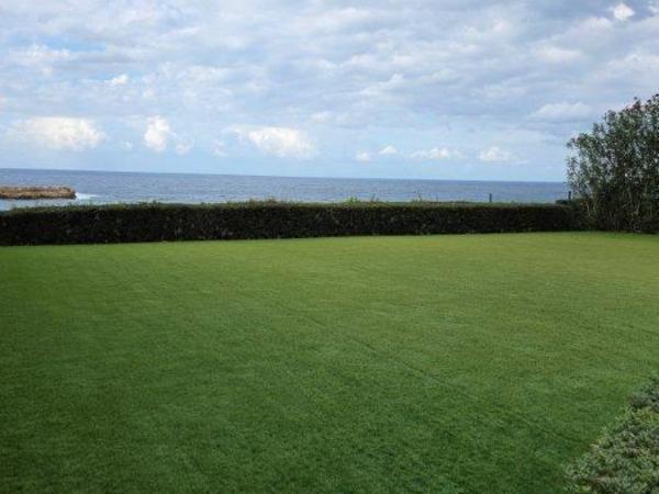 4 bedroom detached house for sale kato paphos paphos 8563037 image 15595565