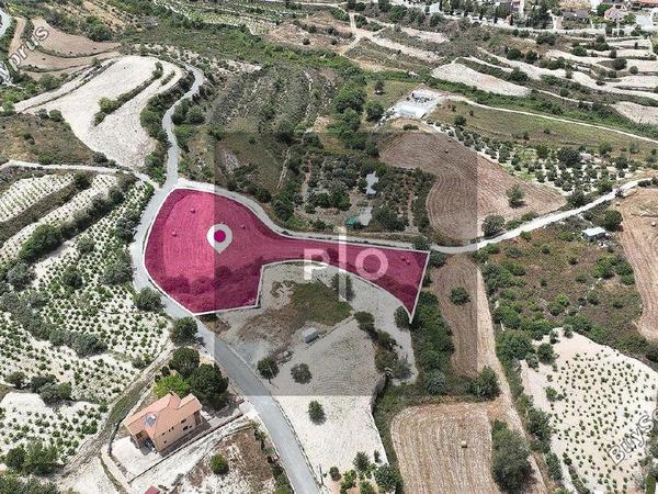 land for sale agios ambrosios limassol 8275037 image 15157067