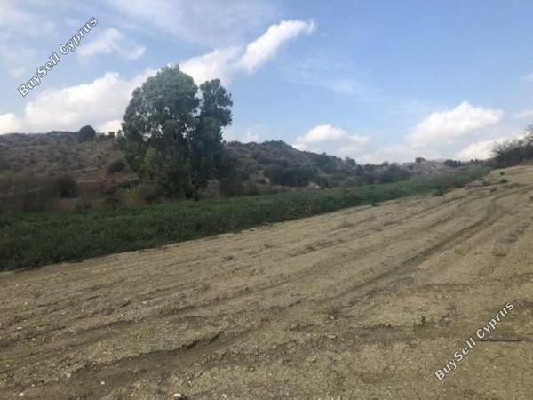 land for sale kannaviou paphos 946137 image 15598859