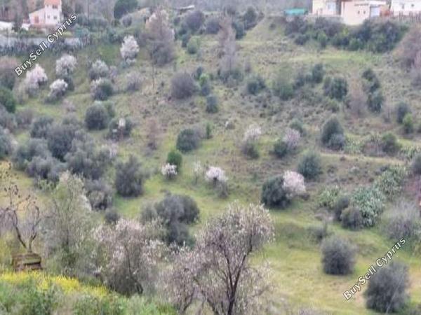 land for sale kapedes nicosia 1113137 image 3360348