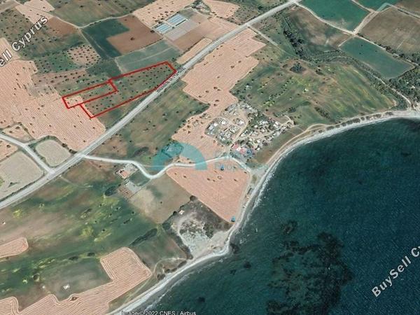 land for sale mazotos larnaca 957137 image 5420683