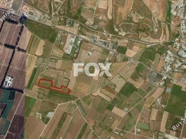land for sale timi paphos 1160137 image 10030418