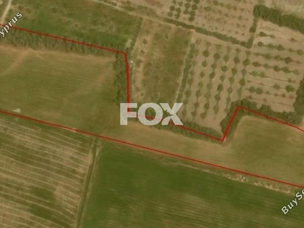land for sale timi paphos 1160137 image 10030421