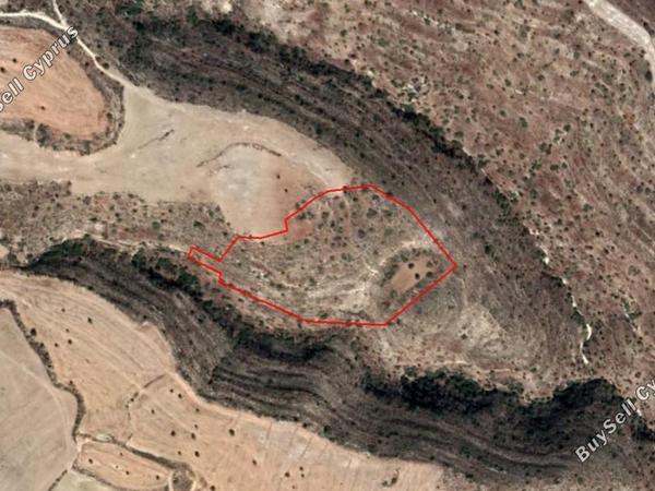 land for sale agios theodoros larnacas larnaca 831237 image 16545449
