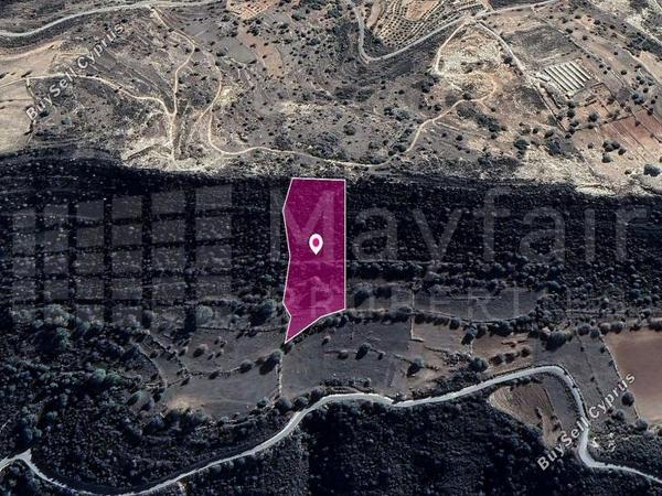 land for sale pachna limassol 7872237 image 14115944