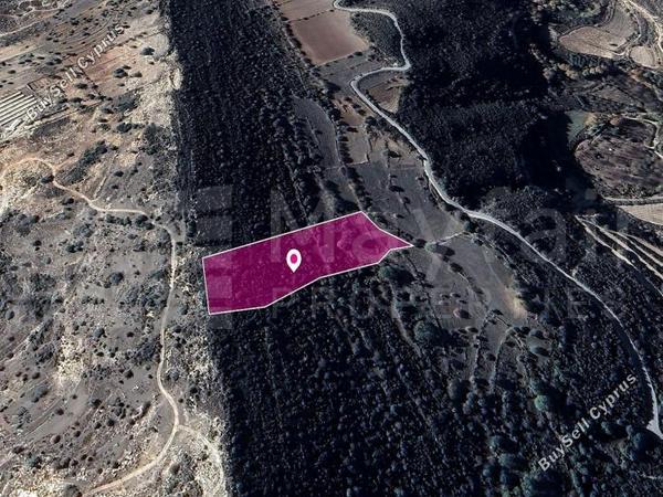 land for sale pachna limassol 7872237 image 14115948