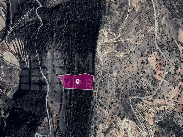 land for sale pachna limassol 7872237 image 14115950