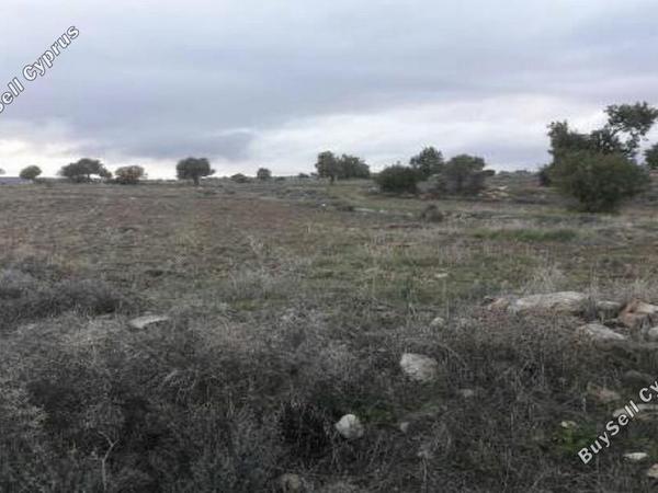 land for sale pachna limassol 829237 image 11082219