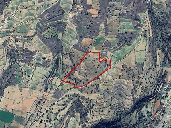 land for sale pachna limassol 829237 image 11082220