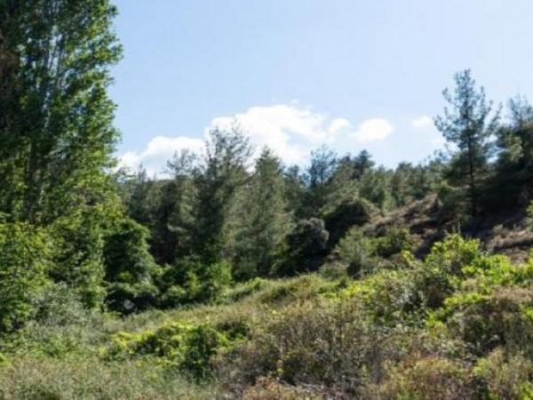 plot for sale kakopetria nicosia 1643237 image 16168142