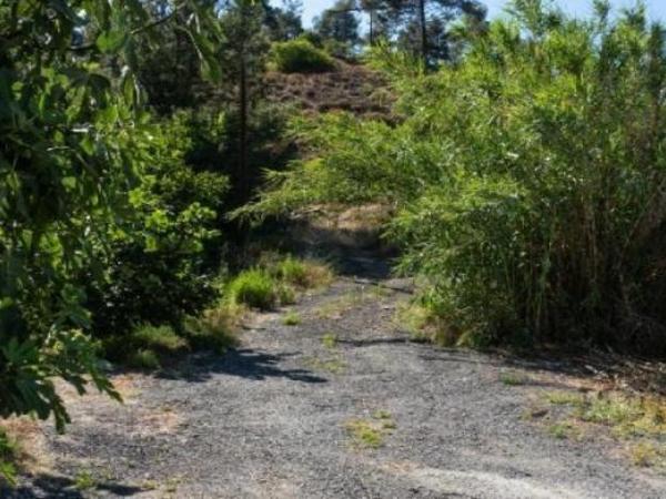 plot for sale kakopetria nicosia 1643237 image 16168146