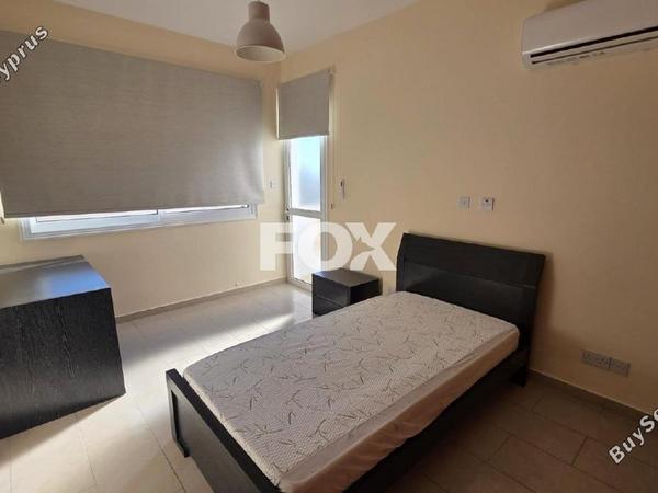 3 bedroom apartment for rent paphos municipality paphos 8554337 image 16866375