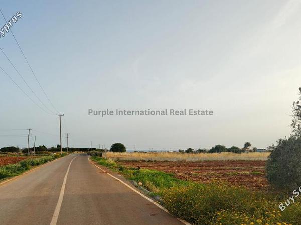 5 bedroom bungalow for sale ormideia larnaca 8626337 image 15848737