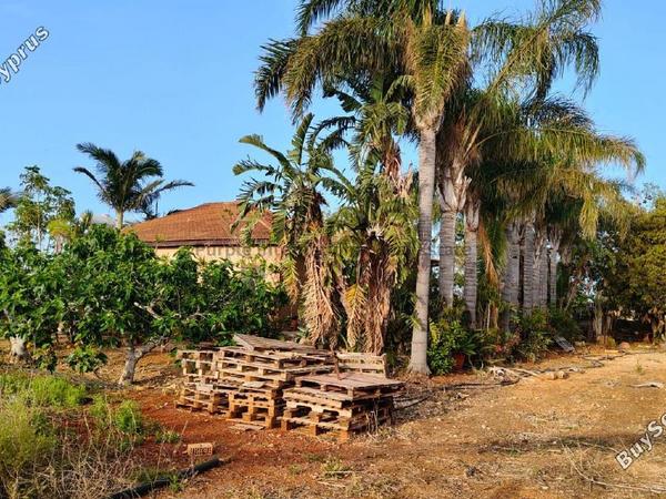 5 bedroom bungalow for sale ormideia larnaca 8626337 image 16937057