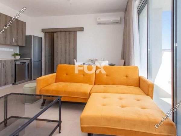 1 bedroom apartment for rent kato polemidia limassol 8537437 image 16333006