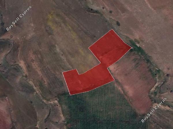 land for sale orounta nicosia 947437 image 7646538