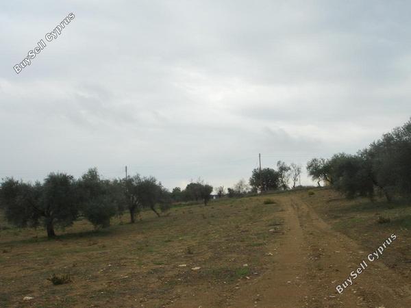 land for sale polemi paphos 1171437 image 1662168