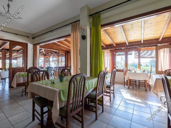 studio restaurant for sale tala paphos 1273437 image 13025417