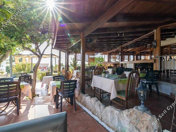 studio restaurant for sale tala paphos 1273437 image 13025422