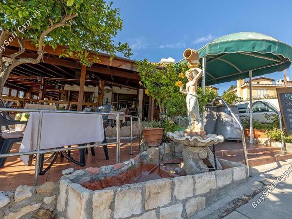 studio restaurant for sale tala paphos 1273437 image 13025425