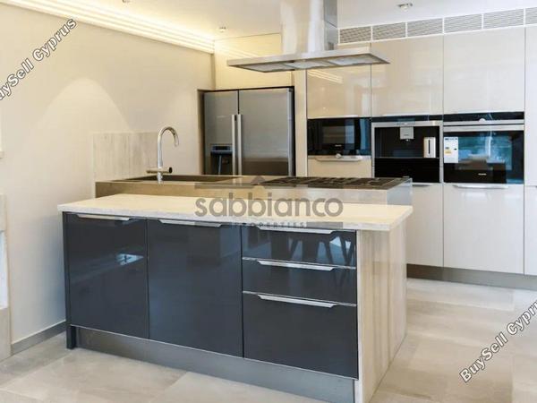 3 bedroom apartment for sale potamos germasogeias limassol 8747537 image 16452906